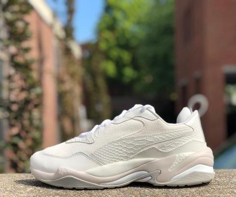 Sneaker addict touring llc