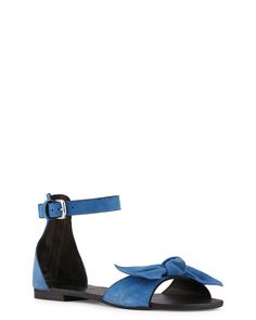 Minelli ballerine ebena