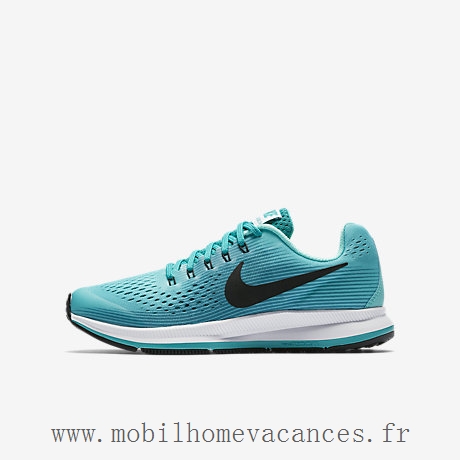 Chaussures de running nike air pegasus