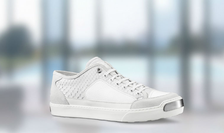 Louis vuitton sport sneakers