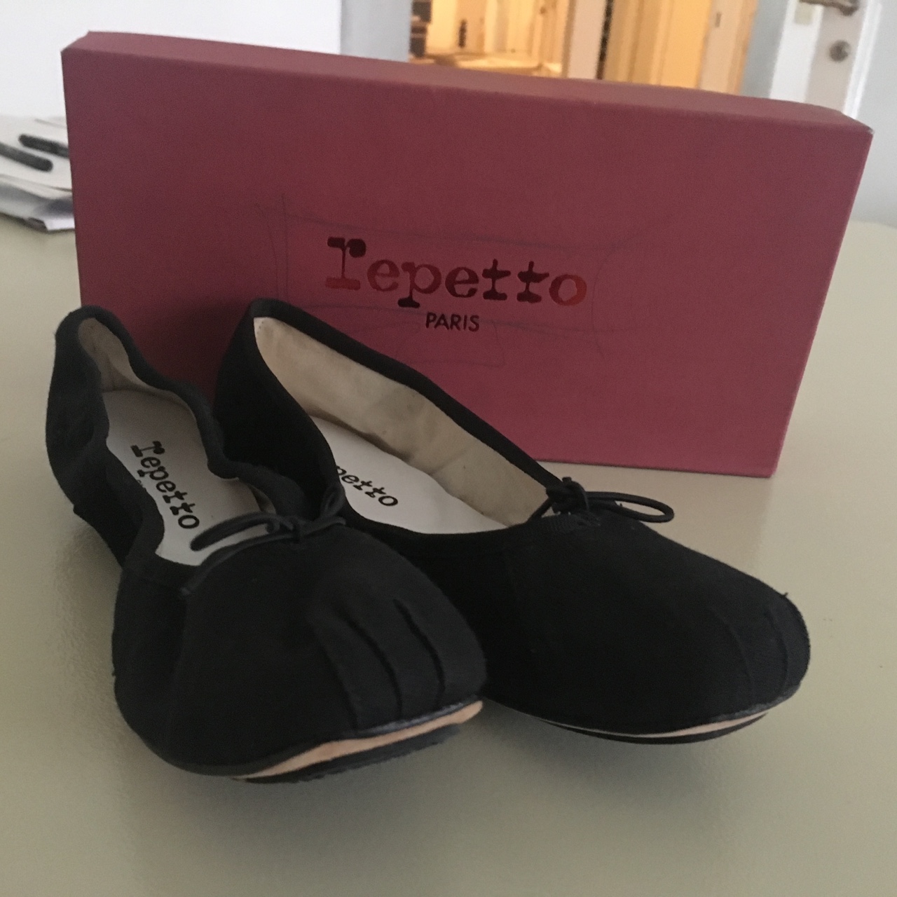 Ballerine repetto usate