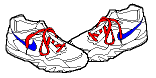 Sneaker net