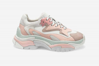 Sneakers addict france